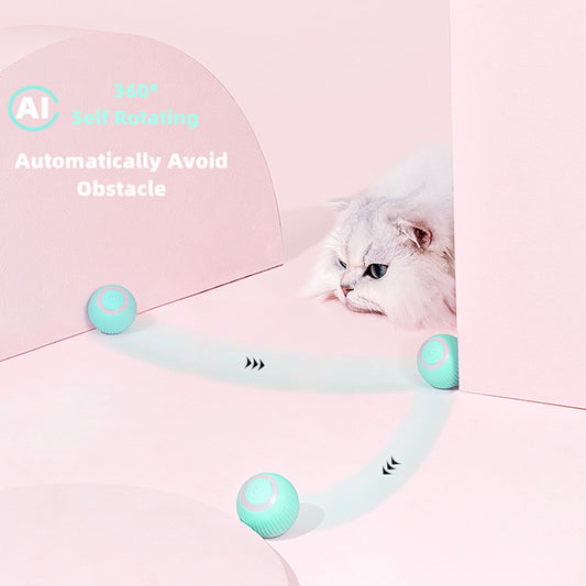 Smart Cat Ball Toys by Queendom