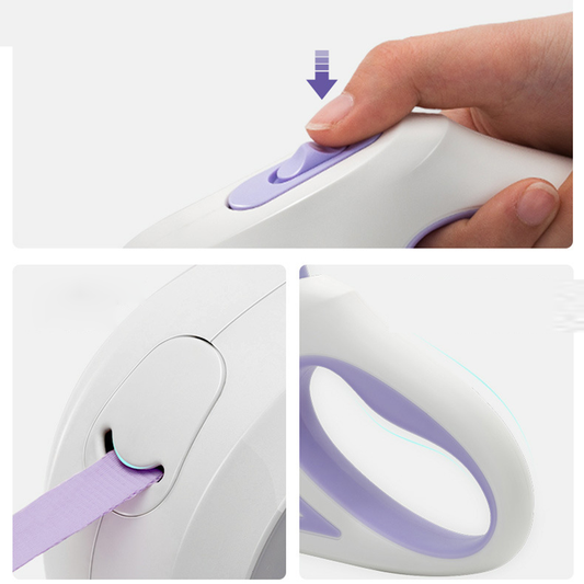 Led Lights Dog Leash by Queendom