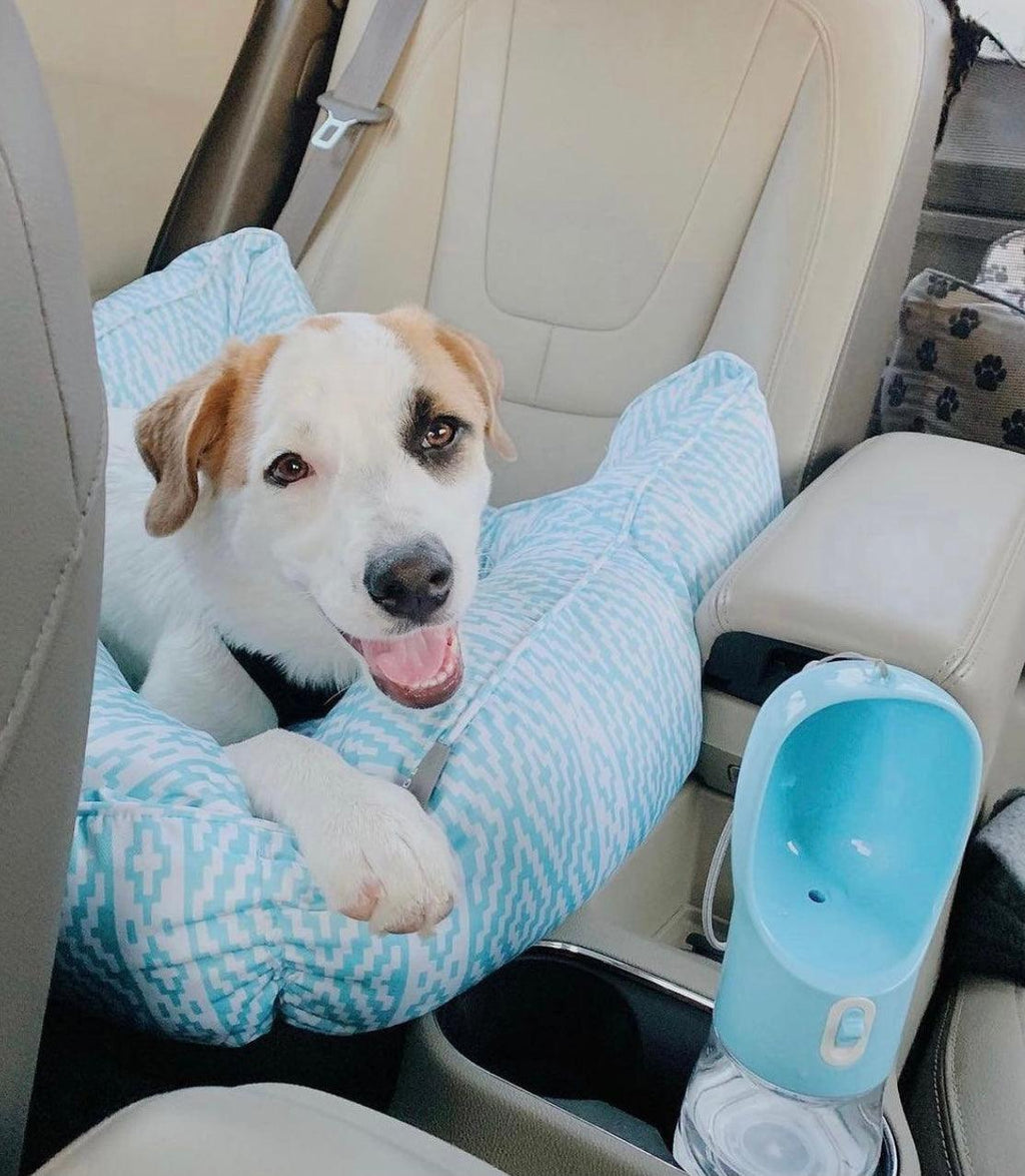 2-in-1 Portable Pet Feeder - Light Grey