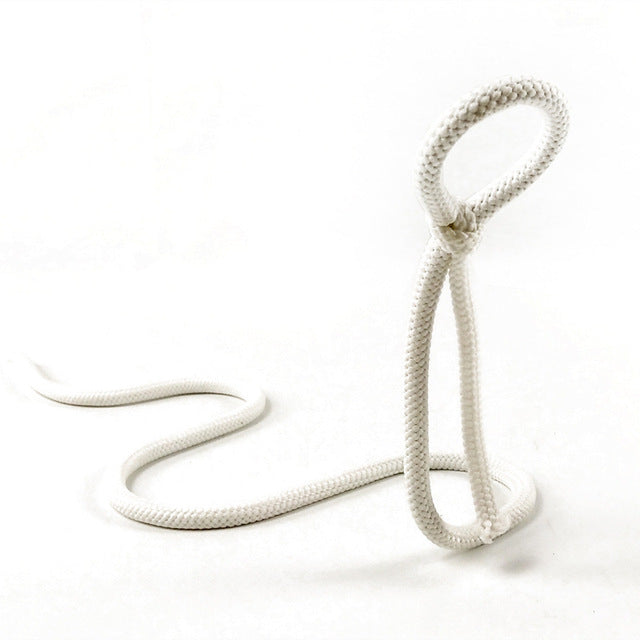 Suspended Rope Wine Bottle Holder by Queendom