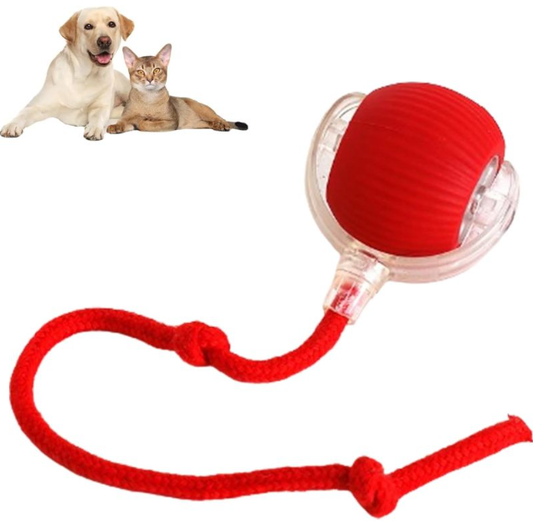 Smart Rolling Pet Ball by Queendom