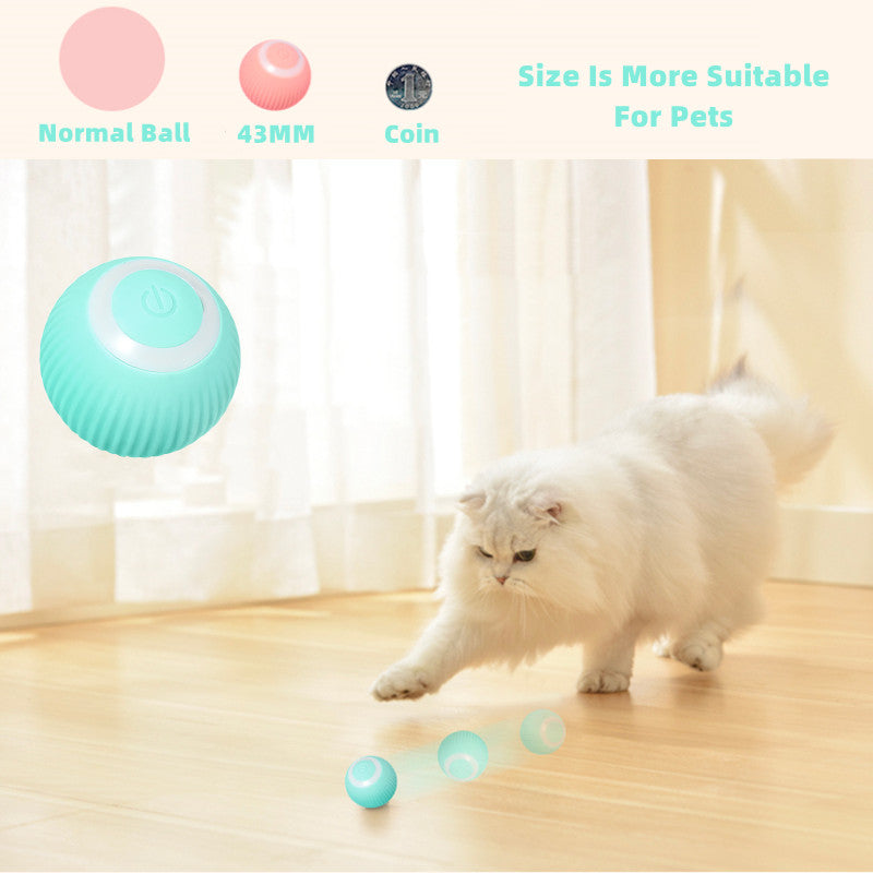 Smart Cat Ball Toys by Queendom