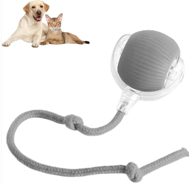 Smart Rolling Pet Ball by Queendom