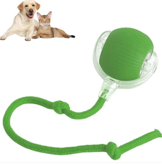 Smart Rolling Pet Ball by Queendom