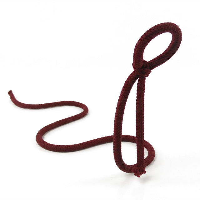 Suspended Rope Wine Bottle Holder by Queendom