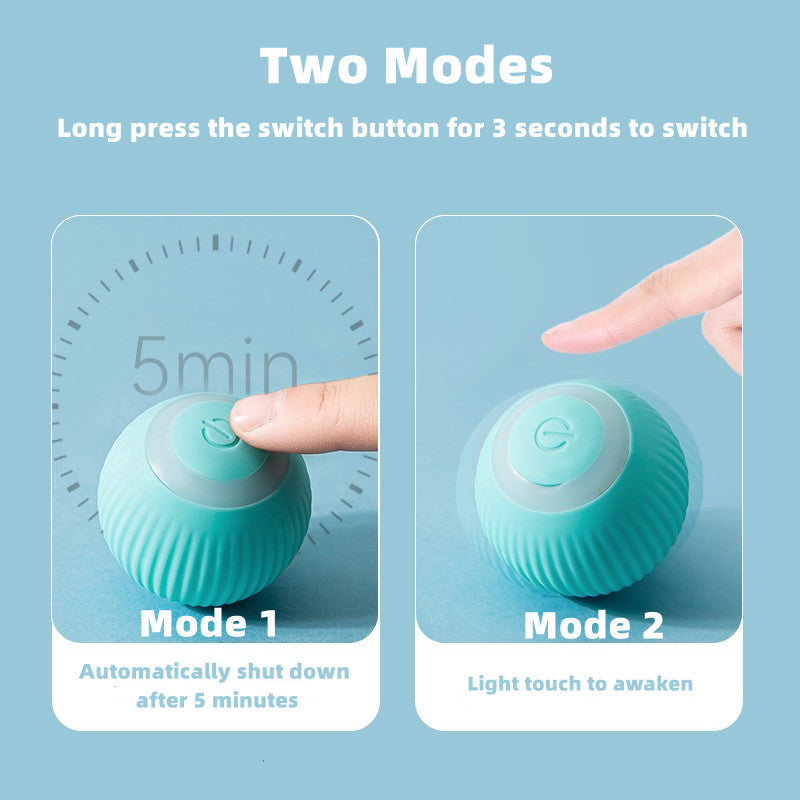 Smart Cat Ball Toys by Queendom