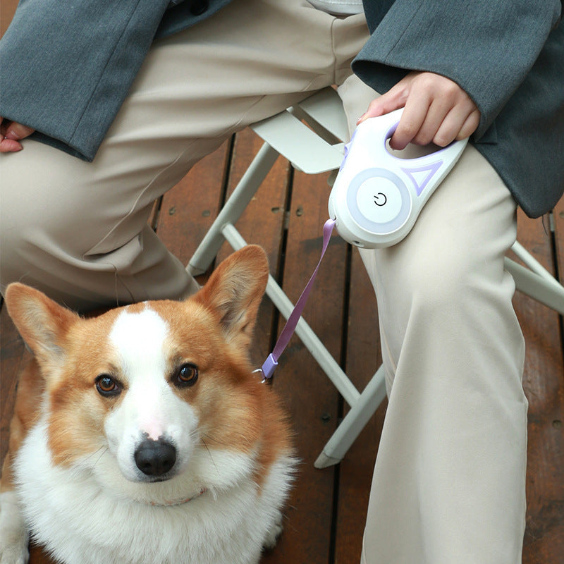 Led Lights Dog Leash by Queendom