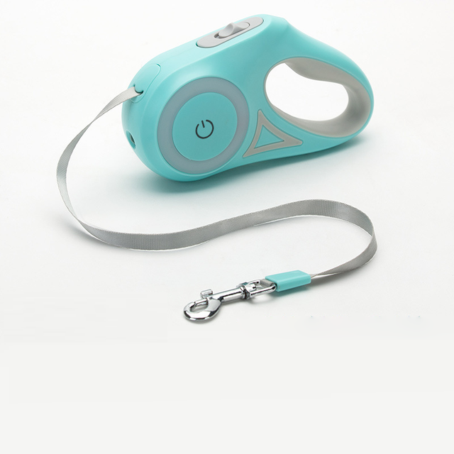 Led Lights Dog Leash by Queendom
