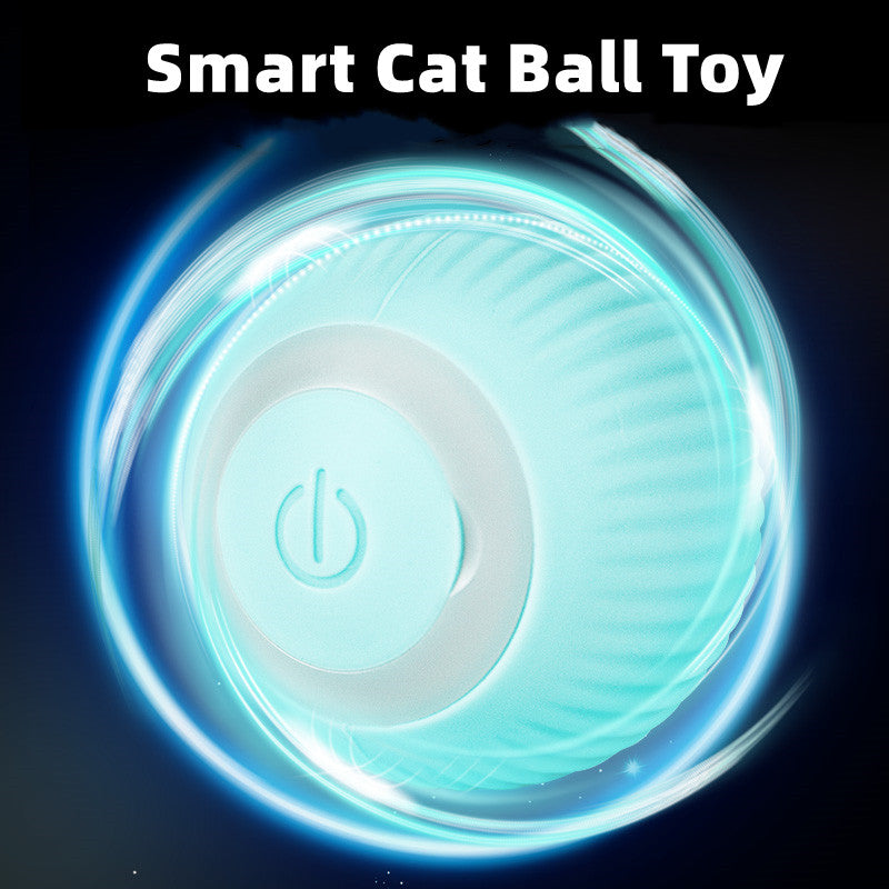Smart Cat Ball Toys by Queendom
